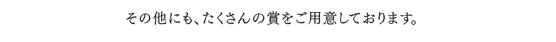 その他にも、たくさんの賞をご用意しております。